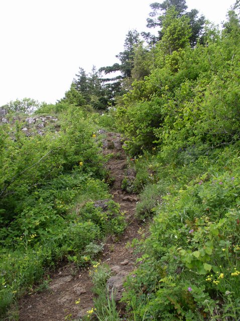 6.10.06 Table Mtn_3CR 057 